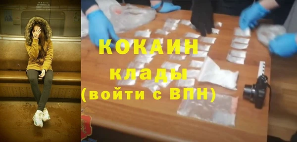 кокс Дмитриев