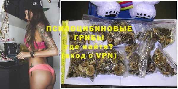 кокс Дмитриев